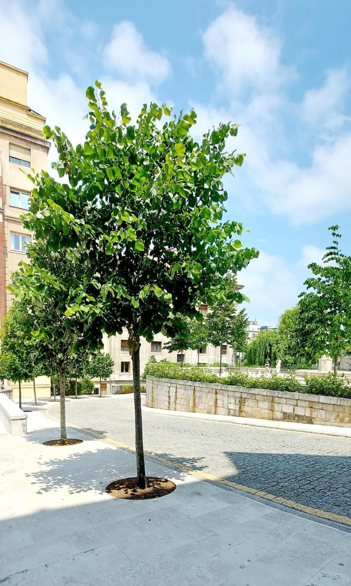 Apartamento C3 Centrico Santander